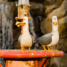 Anaheim Disneyland Seagulls