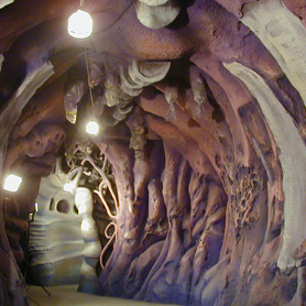Tokyo Disney Sea Ursula's Cave