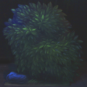 Blacklight wood-flat Hong Kong DL Pooh Floody Place foliage