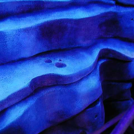 Tokyo Disney Sea Blacklight Mermaid Tail