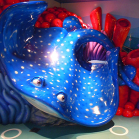 Disney Cruise Line Mr. Ray