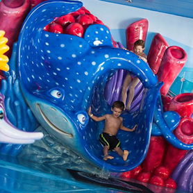 Disney Cruise Line Mr. Ray