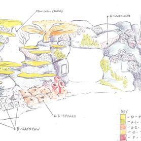 Color Comp Disneyland Paris Crush Coral