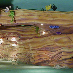 TDS Mermaid Lagoon